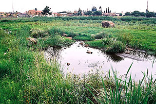 Moroka Dam